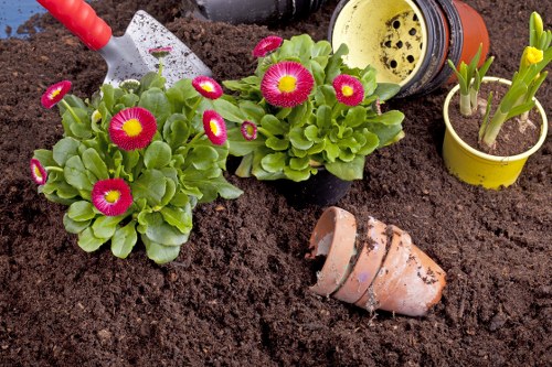 Rubbish removal pricing and garden waste collection in Kenton
