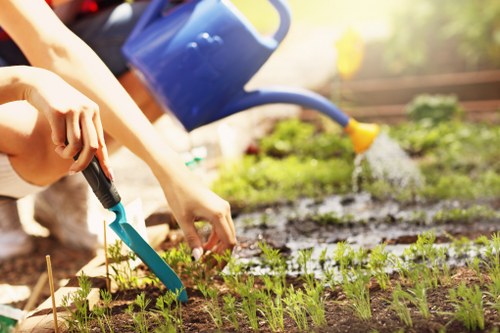 Professional lawn mowing for a Kenton residential garden