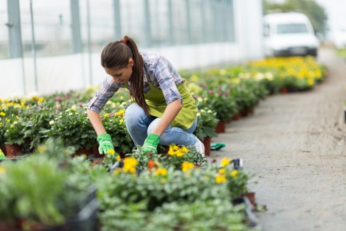 Team reviewing modern slavery compliance for Landscapers Kenton