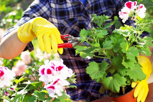 Professional planting services in Kenton for a landscaped garden