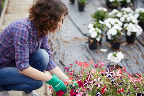 Landscapers carrying out safe site clearance work