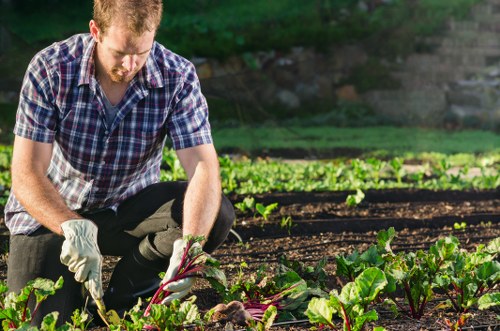 Garden planting design and soil preparation in Kenton