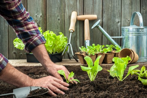 A welcoming accessible landscaping page for Kenton visitors