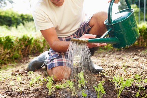 Prepared outdoor space after garden clearance in Kenton