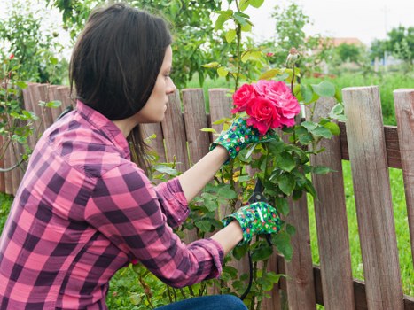 Lawn care and mowing as part of garden maintenance in Kenton