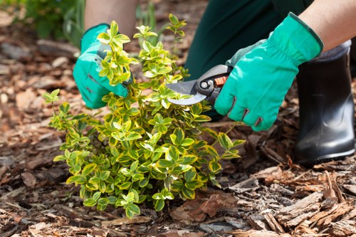 Garden project review showing steps in a complaints process