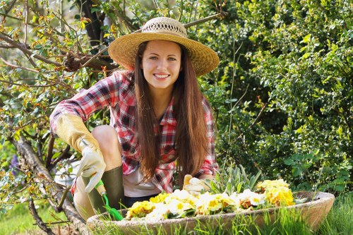 Watering and irrigation for Kenton lawns in summer
