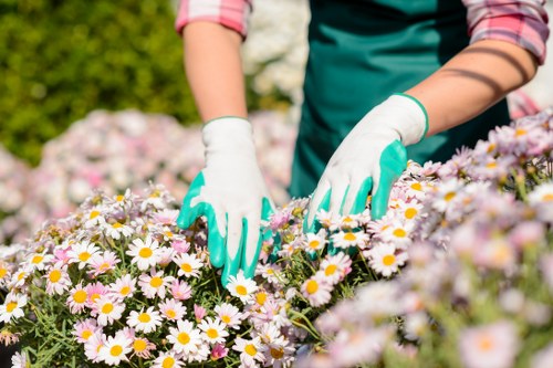 Marketing cookies helping tailor content for Landscapers Kenton