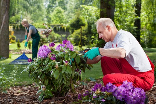 Accessibility support section for Kenton landscaping users
