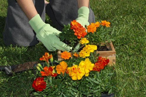 Public liability insured rubbish company working carefully on a landscaped property