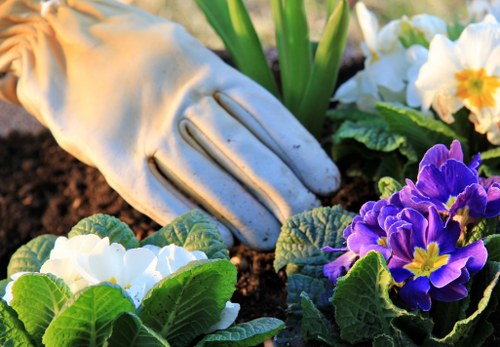 Weed control and lawn treatment for Kenton grass