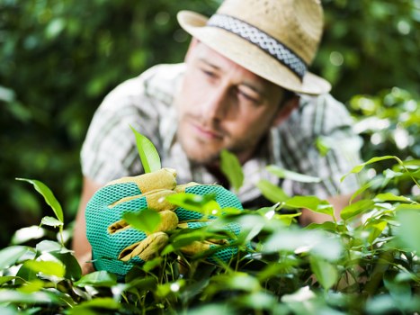Summary of cookie types and user control for Landscapers Kenton