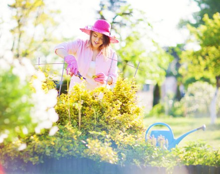 Professional landscape gardeners in Kenton installing garden features