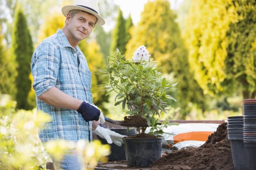 Neat and tidy lawn care service in Kenton
